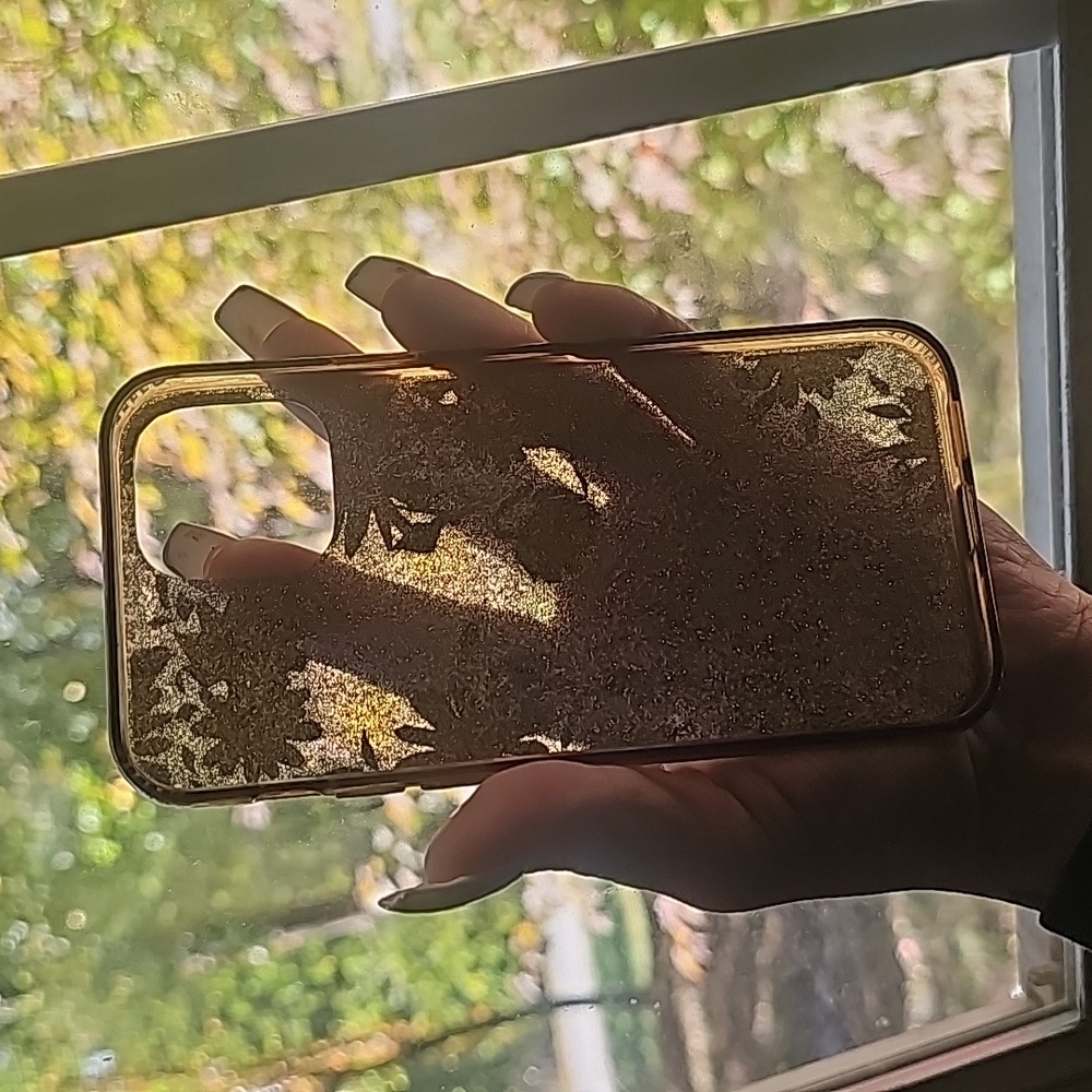 IPhone 12 pro iPhone case